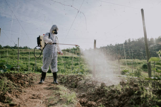 Best Mosquito Control Services  in Cambridge, MD