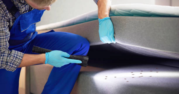 Best Pest Control Near Me  in Cambridge, MD